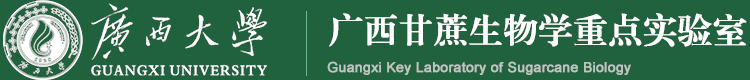 联系我们